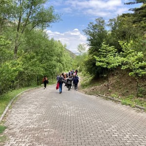 Çocuk Şenliği Doğa Yürüyüşü - fotoğraf 5