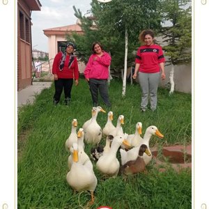 📍 Evcil Hayvanlarla Rehabilitasyon - fotoğraf 1