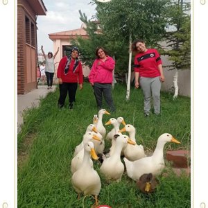 📍 Evcil Hayvanlarla Rehabilitasyon - fotoğraf 2