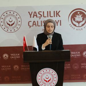 Yaşlılık Çalıştayı: İhtiyaçlar Belirlendi, Çözüm Önerileri Sunuldu - fotoğraf 2