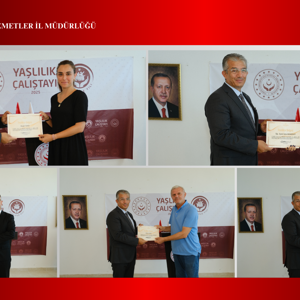 İl Yaşlılık Çalıştayı, Geniş Katılımla Başarıyla Tamamlandı - fotoğraf 2