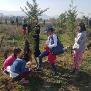 Fidanlarımızı Toprakla Buluşturduk - fotoğraf 10