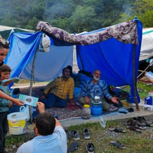 Fındık Hasadı Döneminde Kadına Yönelik Şiddetle Mücadele - fotoğraf 5