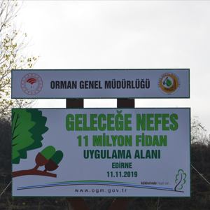 Milli Ağaçlandırma Gününde 11 Milyon Fidan Toprak ile Buluştu - fotoğraf 1