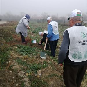 Milli Ağaçlandırma Gününde 11 Milyon Fidan Toprak ile Buluştu - fotoğraf 9