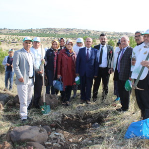 11 Milyon Ağaç; Bugün Fidan, Yarın Nefes - fotoğraf 5