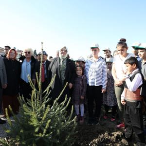 Bakan Selçuk, "Bugün Fidan, Yarın Nefes" Kampanyası Kapsamında Sinop'ta Fidan Dikimi Törenine Katıldı - fotoğraf 1