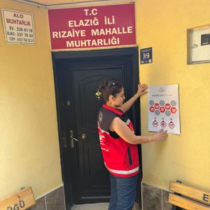 Aile Yılı  - fotoğraf 1