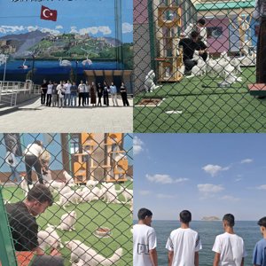 2025 Aile Yılı münasebetiyle Okul Destek Progesi kapsamında ilimizde sosyal ekonomik destek hizmet modelinden faydalanan  çocuklarımız ile Bitlis  ve Van illerimiz ziyaret ederek  doğal güzellikleri ile tarihi ve kültürel mekanları ziyaret ettik.  - fotoğraf 3