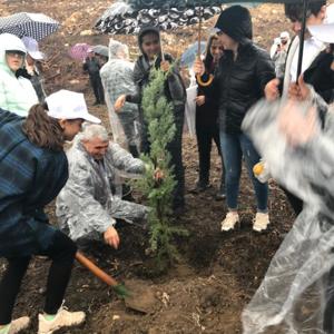 Manisa’da 200 Bin Fidan Toprakla Buluştu - fotoğraf 2