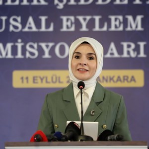 Bakanımız Göktaş, "Kadına Yönelik Şiddetle Mücadele V. Ulusal Eylem Planı İhtisas Komisyonları Toplantısı"na katıldı - fotoğraf 1