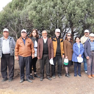 "11 Milyon Ağaç, Bugün Fidan, Yarın Nefes" Projesi - fotoğraf 5