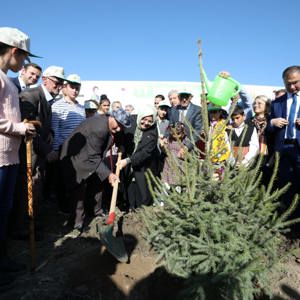 Bakan Selçuk, "Bugün Fidan, Yarın Nefes" Kampanyası Kapsamında Sinop'ta Fidan Dikimi Törenine Katıldı - fotoğraf 6
