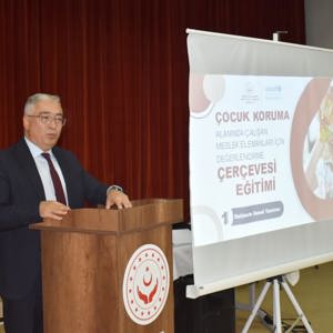 Çocuk Koruma Hizmetlerinde Karar Destek Mekanizmalarının Güçlendirilmesi - fotoğraf 1
