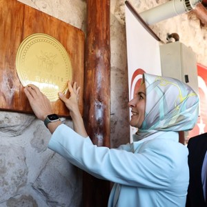 Bakanımız Göktaş "İç Anadolu Bölgesi Kadın Hizmetleri Bölgesel İstişare Toplantısı"na başkanlık etti - fotoğraf 9