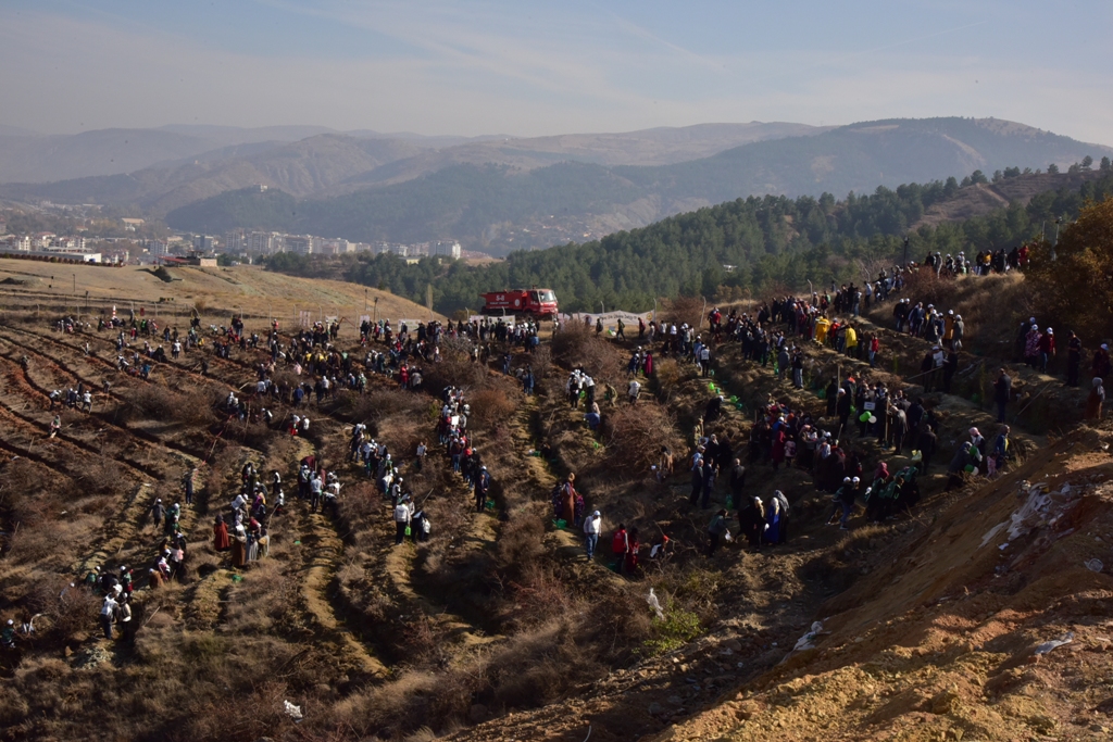 Çocuğu, Genci, Yaşlısı ve Engellisi İle Birlikte Fidanlarımızı Toprakla Buluşturduk