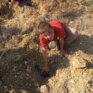 Mersin Aile, Çalışma ve Sosyal Hizmetler Ailesi Olarak Fidanlarımızı Toprakla Buluşturduk - fotoğraf 4