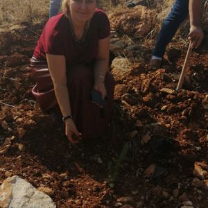 Mersin Aile, Çalışma ve Sosyal Hizmetler Ailesi Olarak Fidanlarımızı Toprakla Buluşturduk - fotoğraf 13