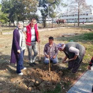 Mersin Aile, Çalışma ve Sosyal Hizmetler Ailesi Olarak Fidanlarımızı Toprakla Buluşturduk - fotoğraf 15