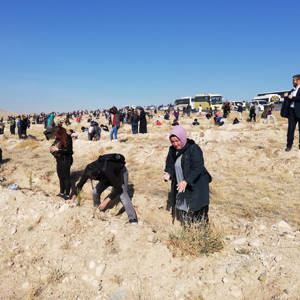 "Nesiller buluşuyor, geleceğe nefes oluyor" sloganıyla Fidanlarımızı Toprakla Buluşturduk - fotoğraf 1