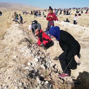 "Nesiller buluşuyor, geleceğe nefes oluyor" sloganıyla Fidanlarımızı Toprakla Buluşturduk - fotoğraf 2