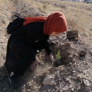 "Nesiller buluşuyor, geleceğe nefes oluyor" sloganıyla Fidanlarımızı Toprakla Buluşturduk - fotoğraf 3