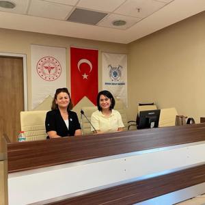 Devrek Devlet Hastanesinde Görev Yapan Kamu Personeline Yönelik Olarak Eğitim Düzenlenmiştir. - fotoğraf 1