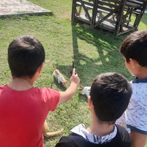Minik Yüreklerden Patili Dostlara Sevgi Dolu Destek - fotoğraf 3