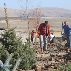 Hamur Ceylanlı Köyünde Fidan Dikme Etkinliği - fotoğraf 8