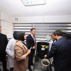 Adilcevaz Kadın Kooperatifi tarafından işletilen Adilcevaz Cevizi İşleme Tesisinin Açılışı Gerçekleştirildi - fotoğraf 2