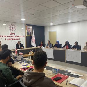 Çocuk Koruma Alanında Karar Destek Mekanizmaları Eğitimi - fotoğraf 2