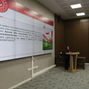 Kadının Güçlenmesi Koordinasyon Kurulu Toplantısı İçin Yapıldı - fotoğraf 3