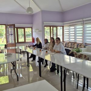Kadın Hizmetleri  İstişare Toplantısı - fotoğraf 3