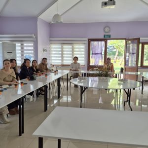 Kadın Hizmetleri  İstişare Toplantısı - fotoğraf 1