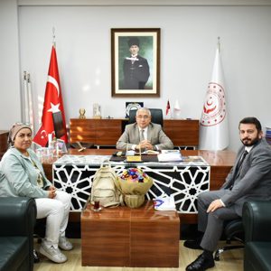 Kamuda Çalışan Engelli Bireyler Yönelik Çalışma Hayatı Araştırması - fotoğraf 2