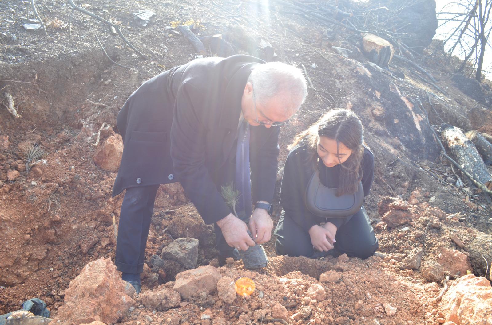11 Kasım Milli Ağaçlandırma Günü 