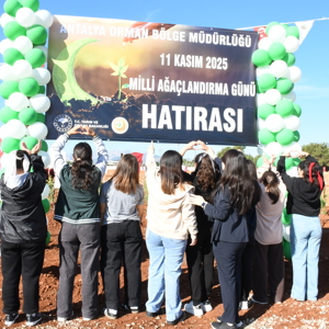 11 Kasım Milli Ağaçlandırma Gününde Fidan Dikimi Gerçekleştirdik - fotoğraf 18