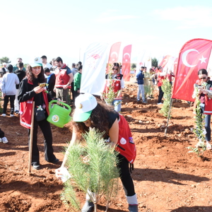 11 Kasım Milli Ağaçlandırma Gününde Fidan Dikimi Gerçekleştirdik - fotoğraf 9