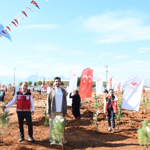 11 Kasım Milli Ağaçlandırma Gününde Fidan Dikimi Gerçekleştirdik - fotoğraf 11