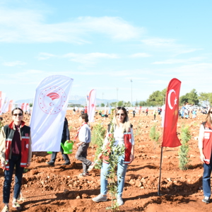 11 Kasım Milli Ağaçlandırma Gününde Fidan Dikimi Gerçekleştirdik - fotoğraf 12