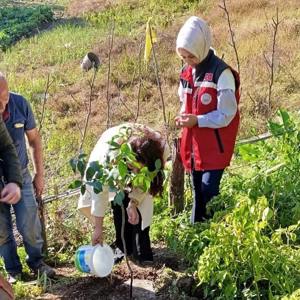 Zonguldak Sosyal Hizmet Merkezi Tarafından 11 Kasım Milli Ağaçlandırma Günü Kapsamında Fidan Dikimi Yapılmıştır.  - fotoğraf 3
