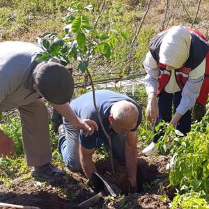 Zonguldak Sosyal Hizmet Merkezi Tarafından 11 Kasım Milli Ağaçlandırma Günü Kapsamında Fidan Dikimi Yapılmıştır.  - fotoğraf 4