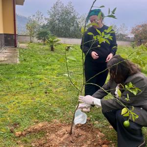 Geleceğe Mirasımız, Bugün Diktiğimiz Bir Fidanla Başlar - fotoğraf 2