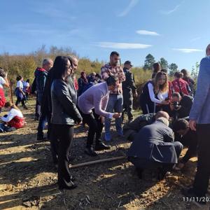 Kozlu Sosyal Hizmet Merkezi Müdürlüğü tarafından “11 Kasım Milli Ağaçlandırma Günü “Kapsamında Fidan Dikme Etkinliğine Katılım Sağlanmıştır. - fotoğraf 2