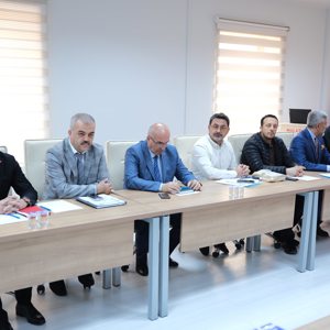 65 yaş ve üzeri yalnız yaşayan bireylerin durumlarının değerlendirilmesi - fotoğraf 2