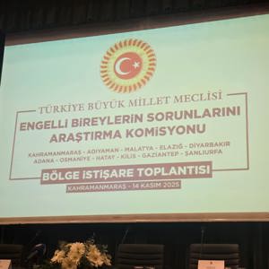 Engelli Bireylerin Sorunlarını Araştırma Komisyonu Bölge İstişare Toplantısı Gerçekleştirildi - fotoğraf 1