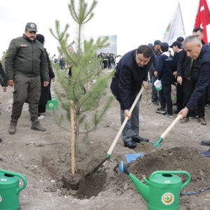 11 Kasım Milli Ağaçlandırma Günü Kapsamında Fidan Dikim Etkinliği Gerçekleştirildi - fotoğraf 2