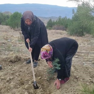 🌳 Küçük Eller, Büyük Yürekler. Geleceğe Nefes Olduk! - fotoğraf 8