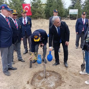 11 Kasım Milli Ağaçlandırma Günü  - fotoğraf 1