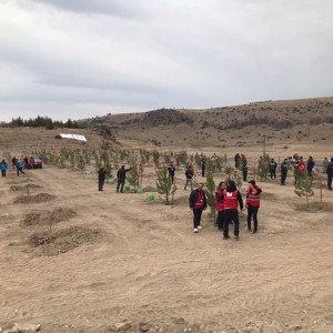 2025 Aile Yılı Kapsamında Nevşehir’de 11 Kasım Milli Ağaçlandırma Günü Etkinliği Gerçekleştirildi - fotoğraf 7